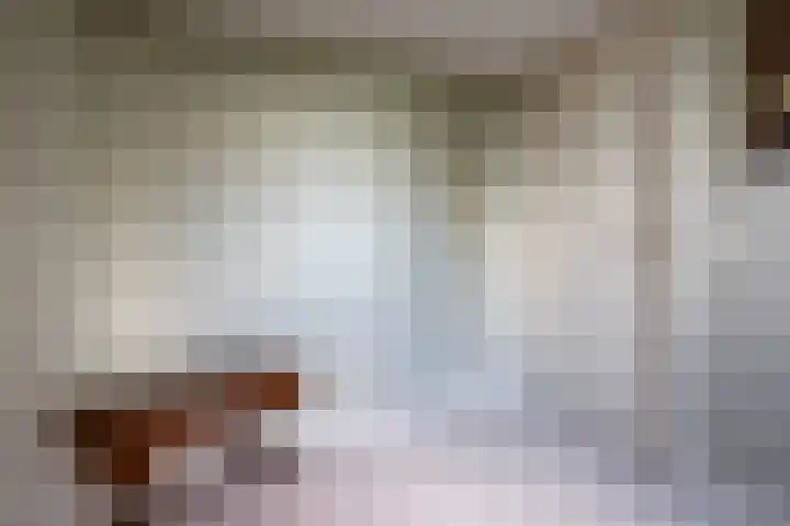 Zuideinde 108 Westzaan thumbnail 20