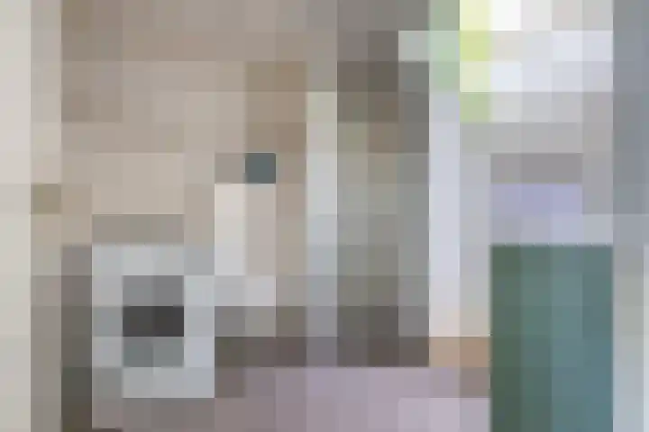 Zuideinde 108 Westzaan thumbnail 22