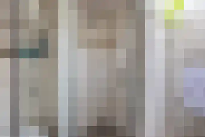 Zuideinde 108 Westzaan thumbnail 23