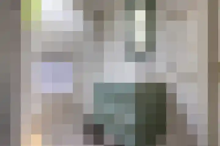 Zuideinde 108 Westzaan thumbnail 24