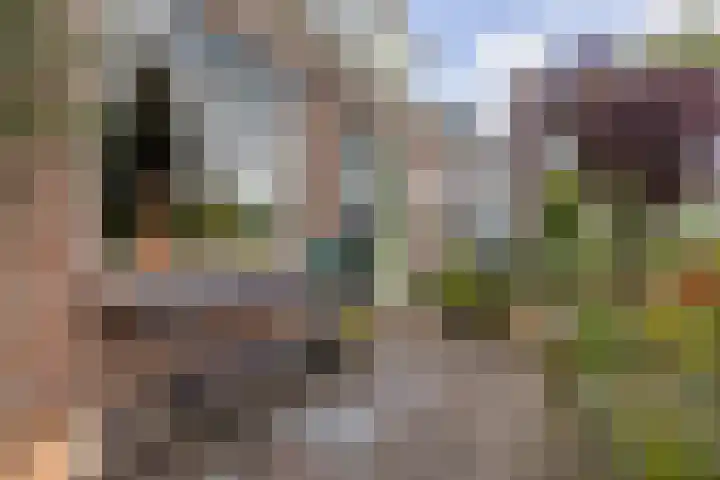 Zuideinde 108 Westzaan thumbnail 26