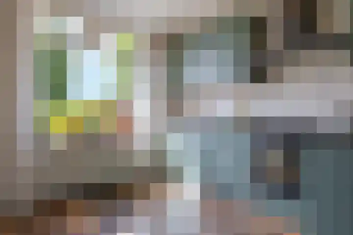 Zuideinde 108 Westzaan thumbnail 4