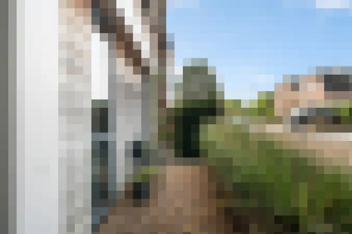 Zuideinde 11 A Naaldwijk thumbnail 31