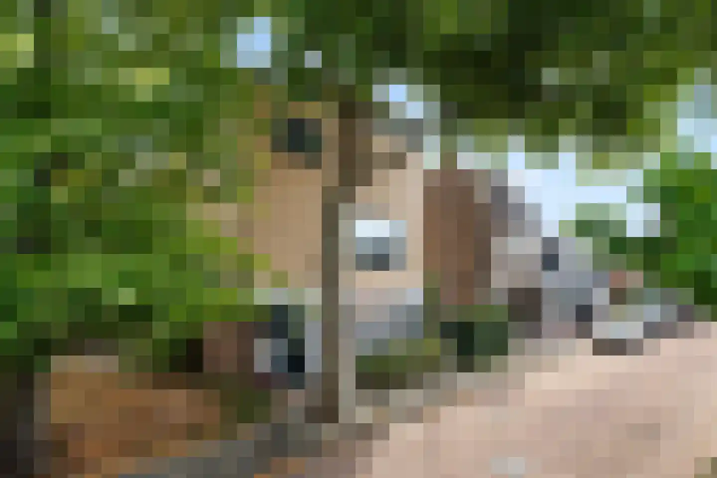 Zuideinde 11 A Naaldwijk thumbnail 34