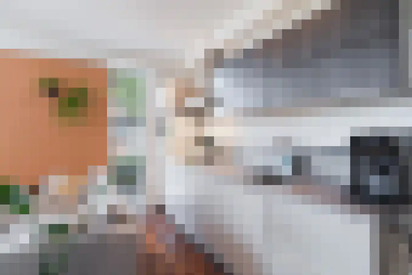 Zuideinde 11 A Naaldwijk thumbnail 9