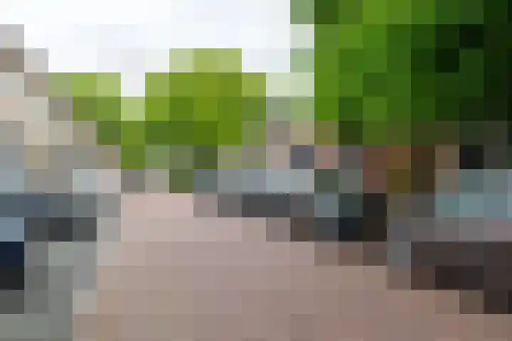 Zuideinde 11 B Naaldwijk thumbnail 23