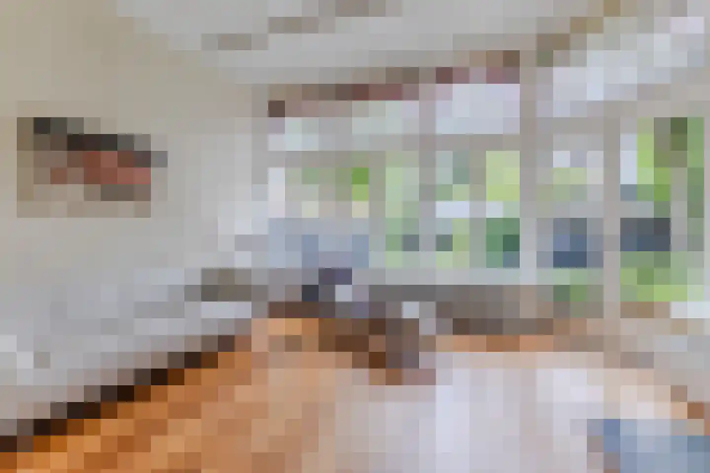Zuideinde 11 Wormerveer thumbnail 10