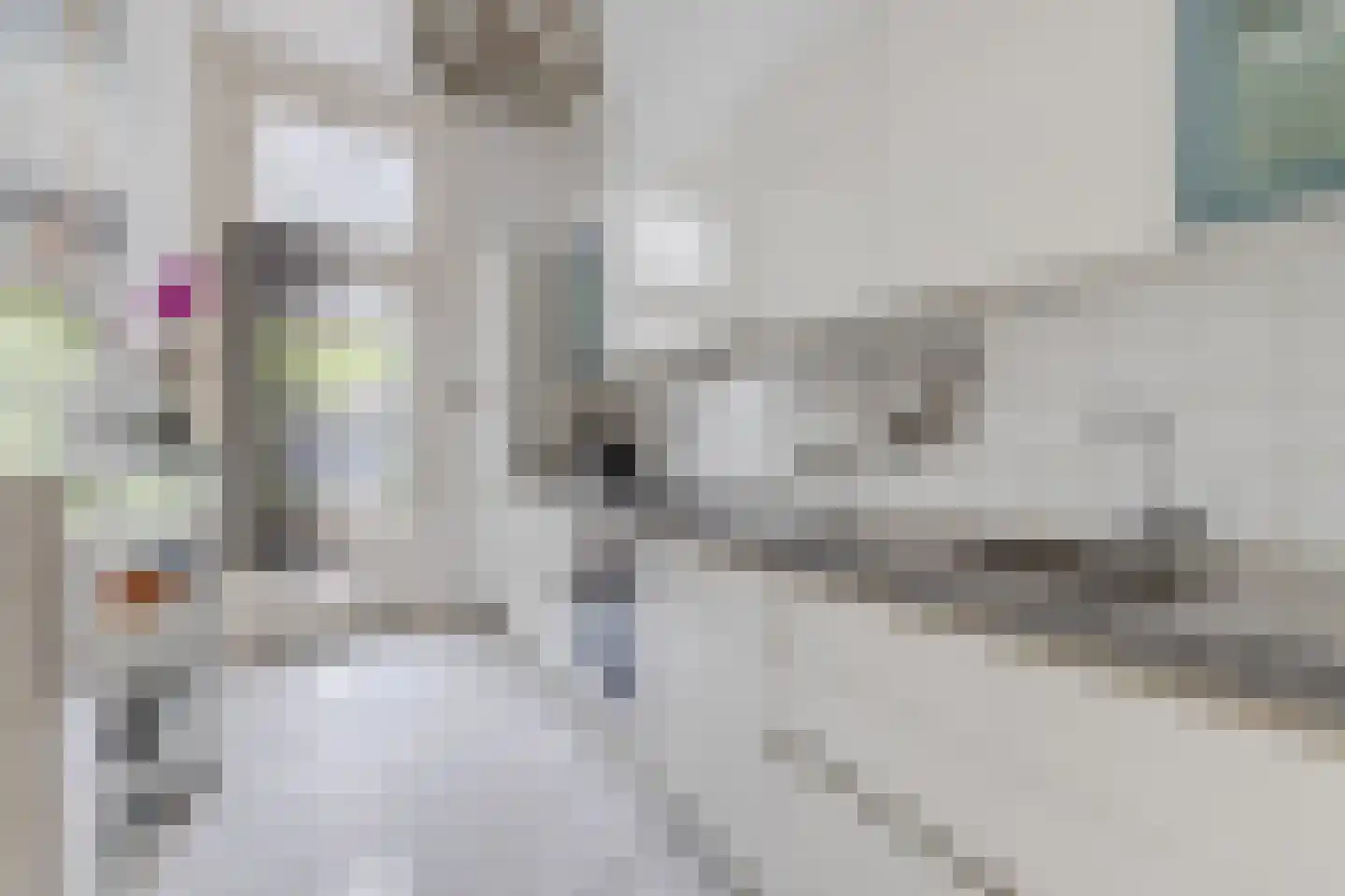 Zuideinde 11 Wormerveer thumbnail 18