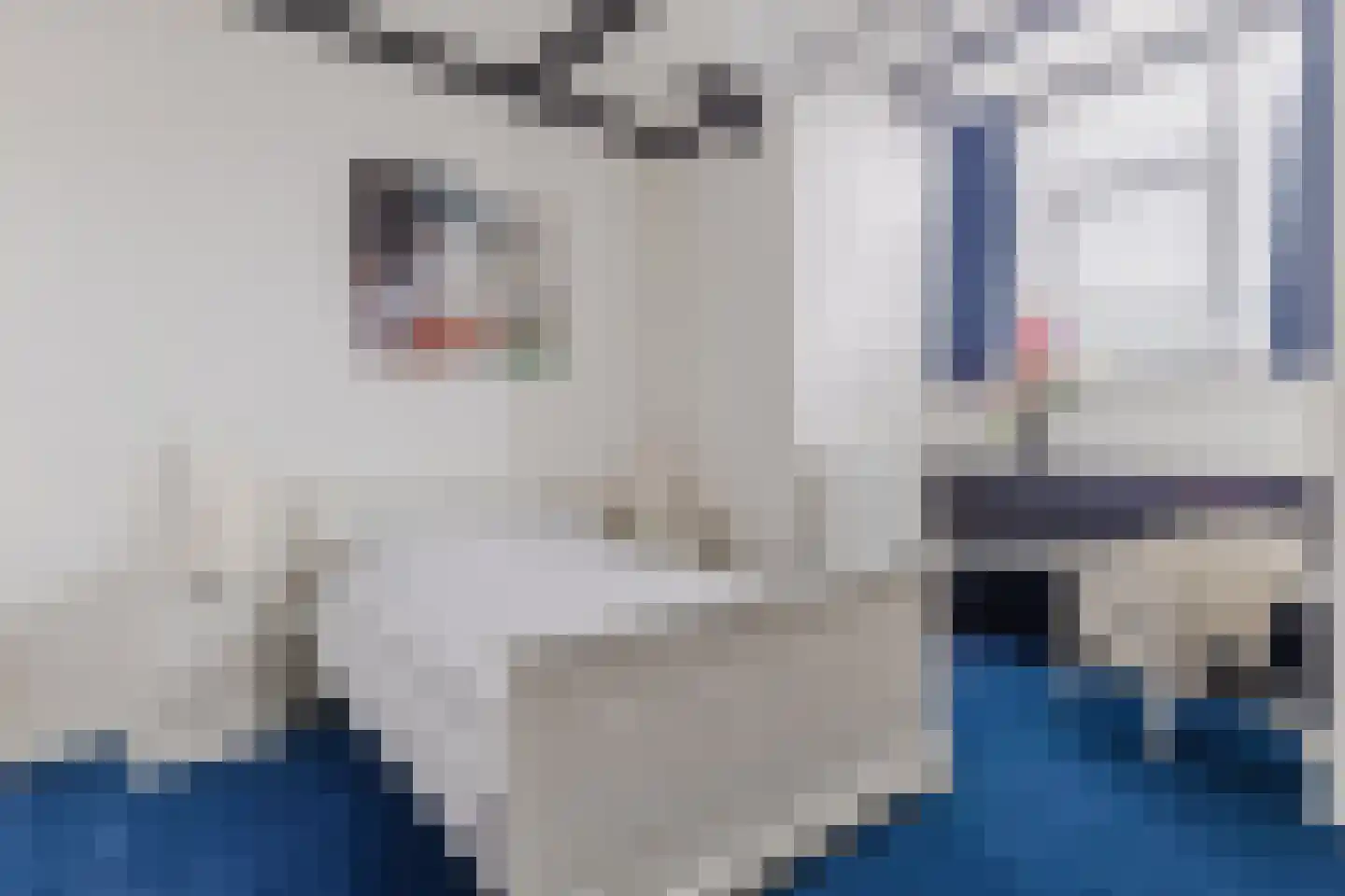 Zuideinde 11 Wormerveer thumbnail 39