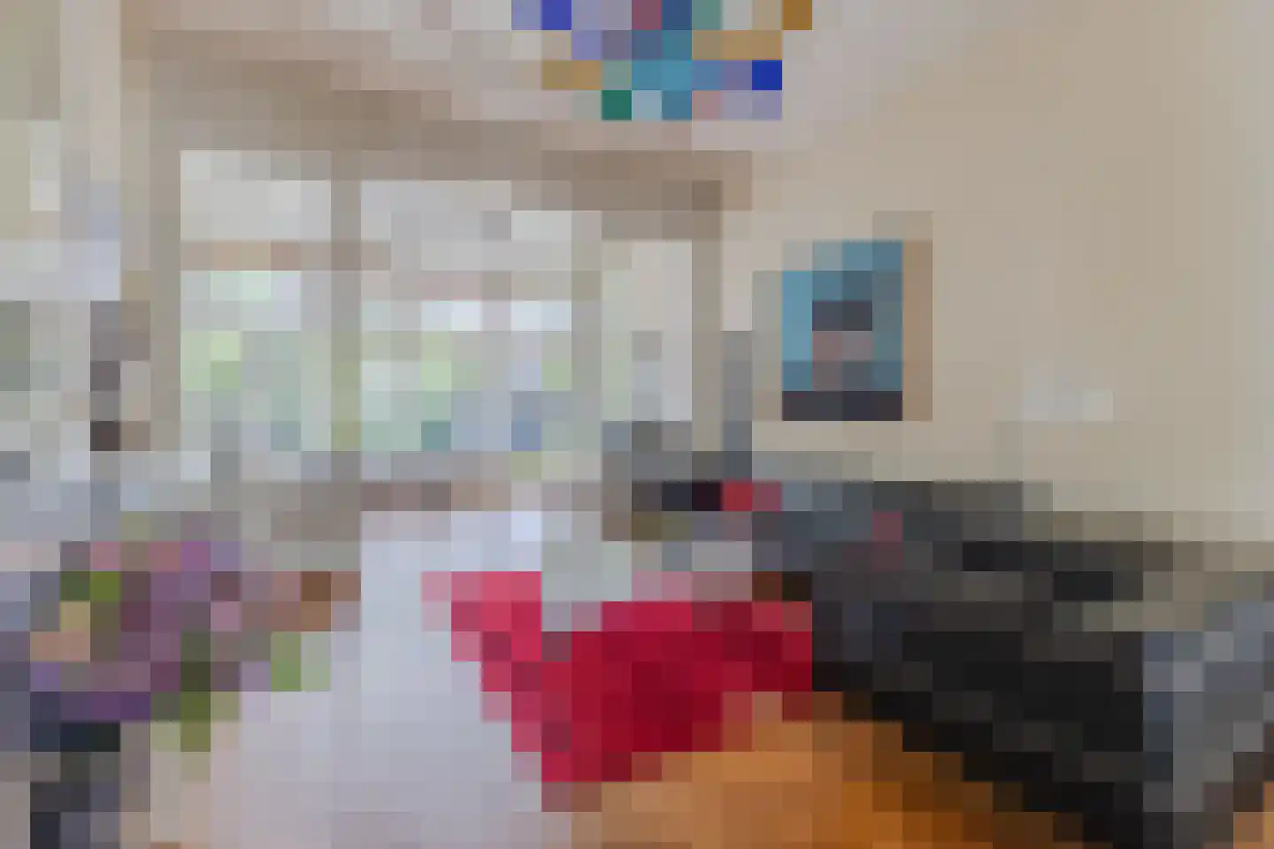 Zuideinde 11 Wormerveer thumbnail 4
