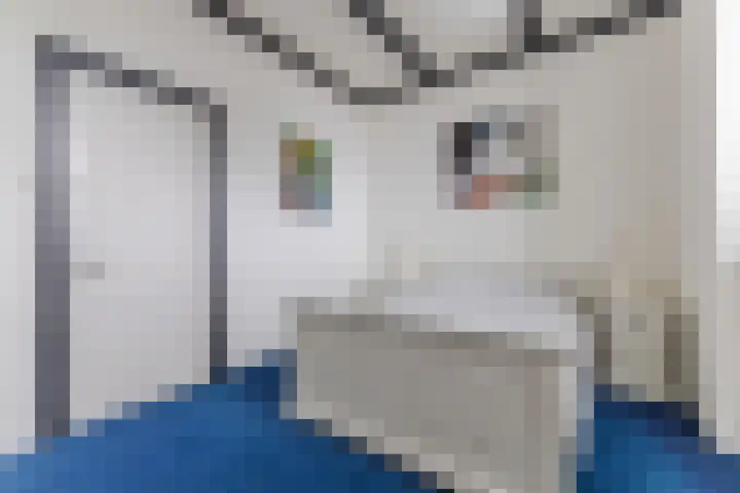 Zuideinde 11 Wormerveer thumbnail 41