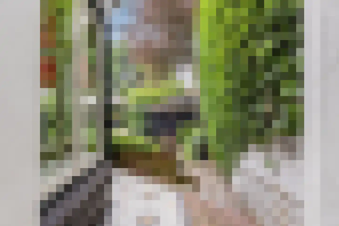Zuideinde 11 Wormerveer thumbnail 49