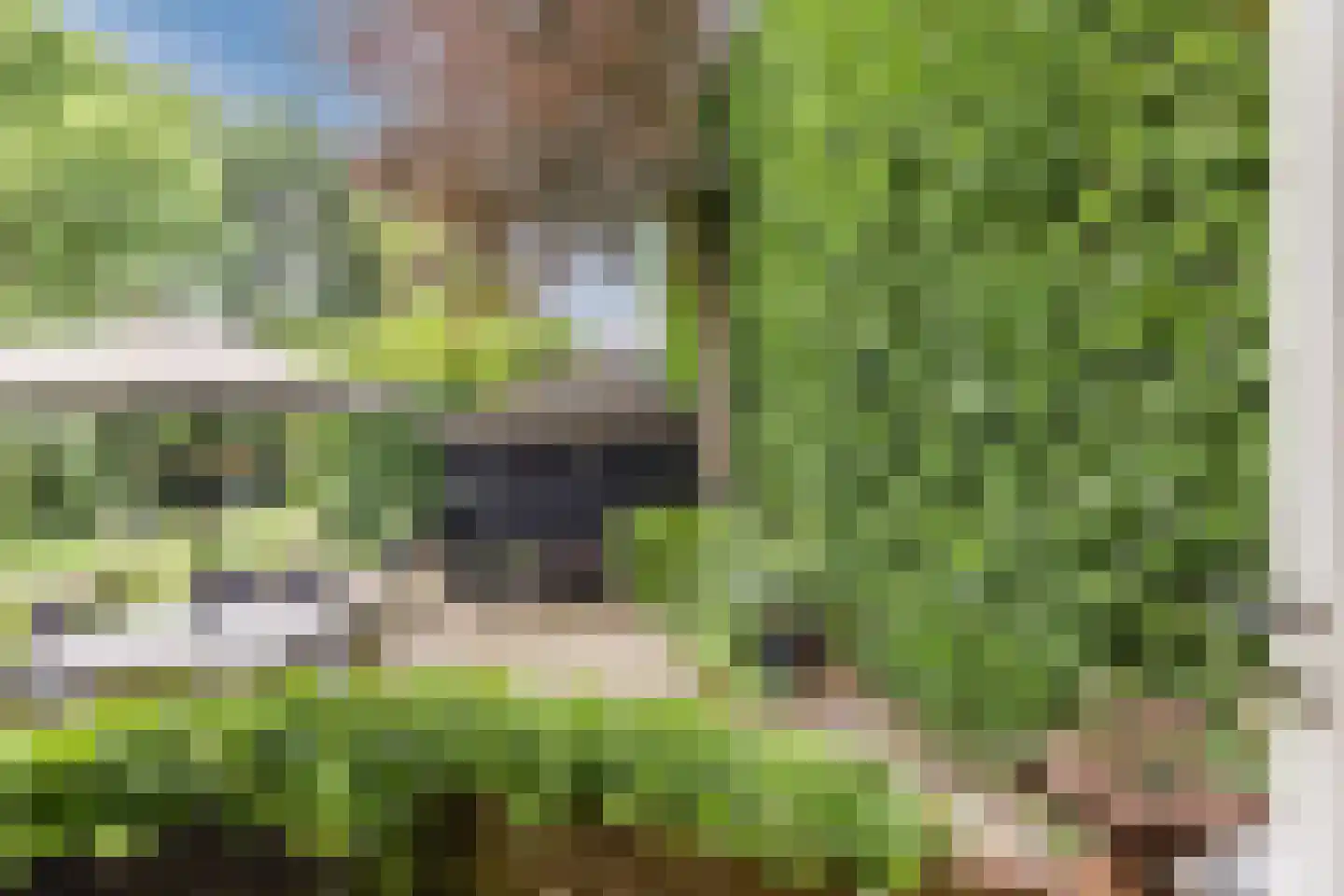 Zuideinde 11 Wormerveer thumbnail 50