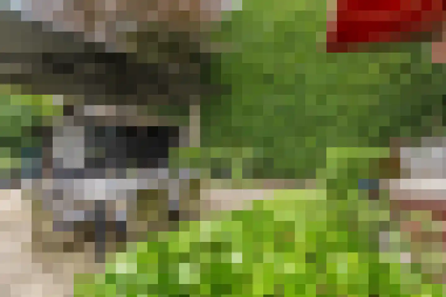 Zuideinde 11 Wormerveer thumbnail 51