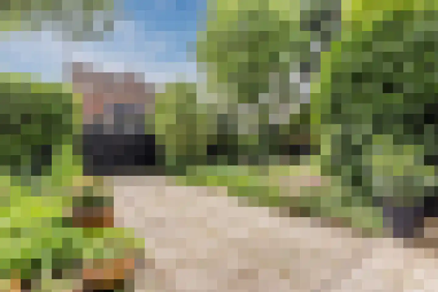 Zuideinde 11 Wormerveer thumbnail 52