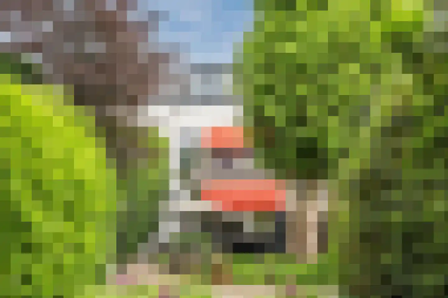 Zuideinde 11 Wormerveer thumbnail 55