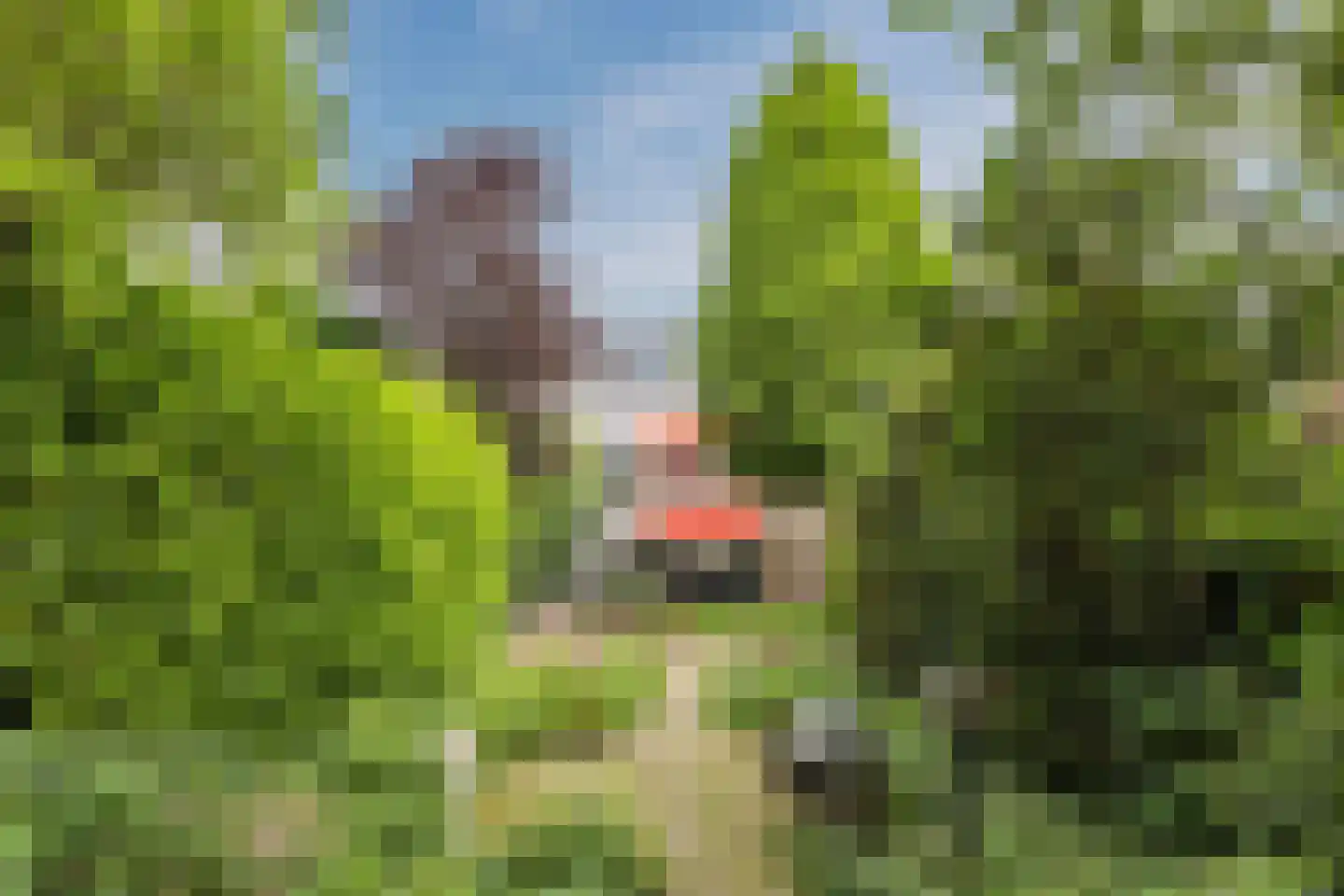 Zuideinde 11 Wormerveer thumbnail 56