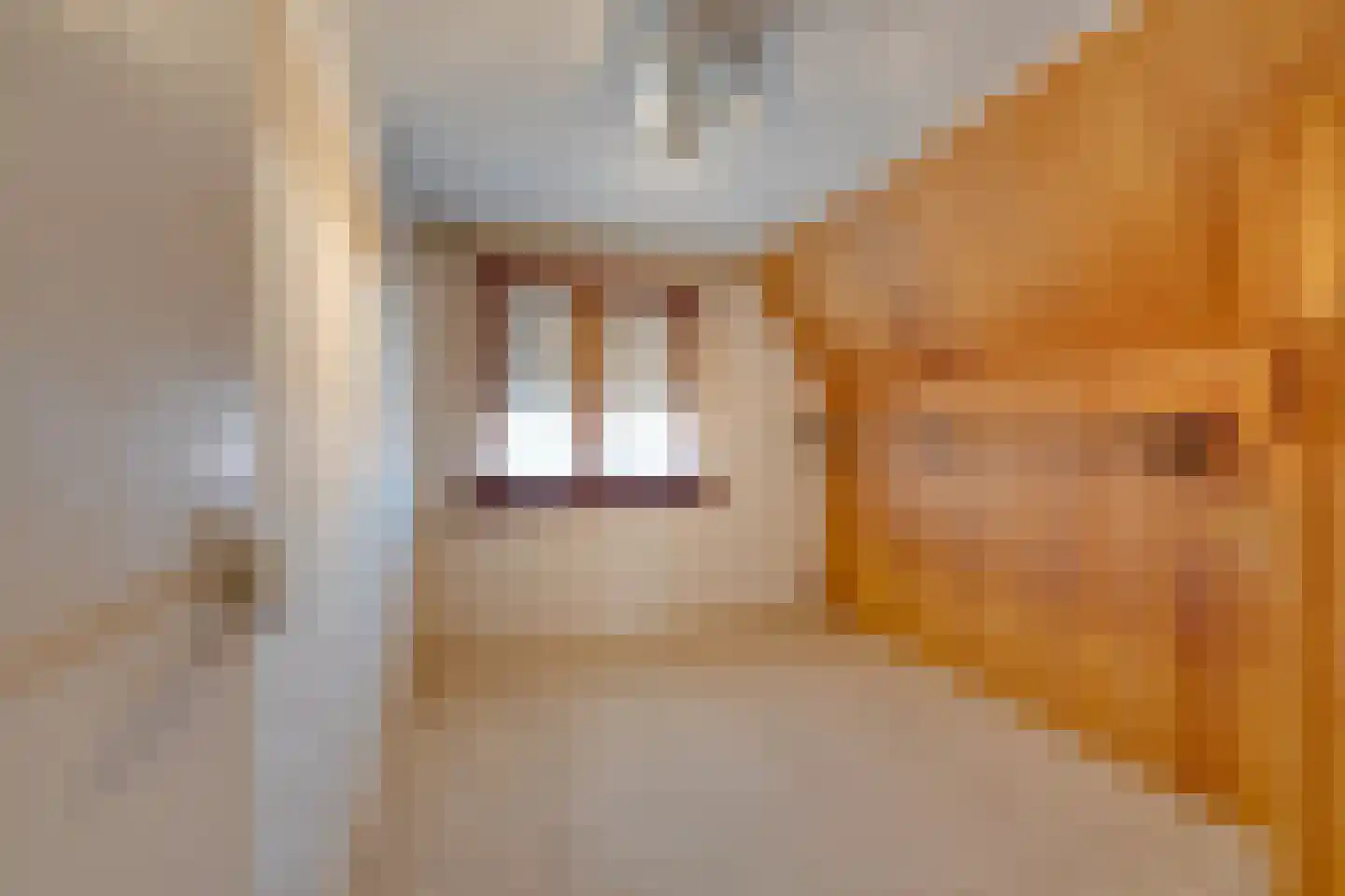 Zuideinde 110 Volendam thumbnail 45