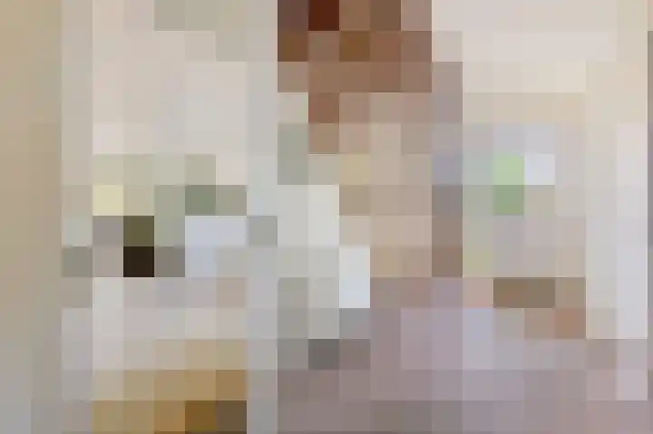 Zuideinde 114 Landsmeer thumbnail 11