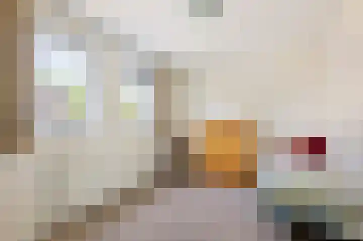 Zuideinde 114 Landsmeer thumbnail 15