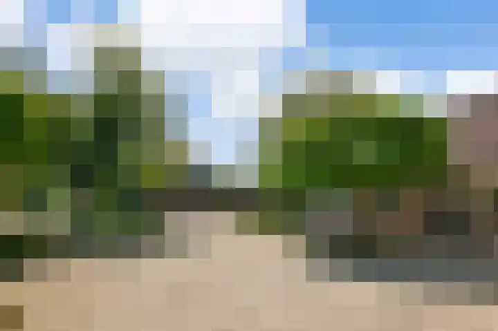 Zuideinde 114 Landsmeer thumbnail 35