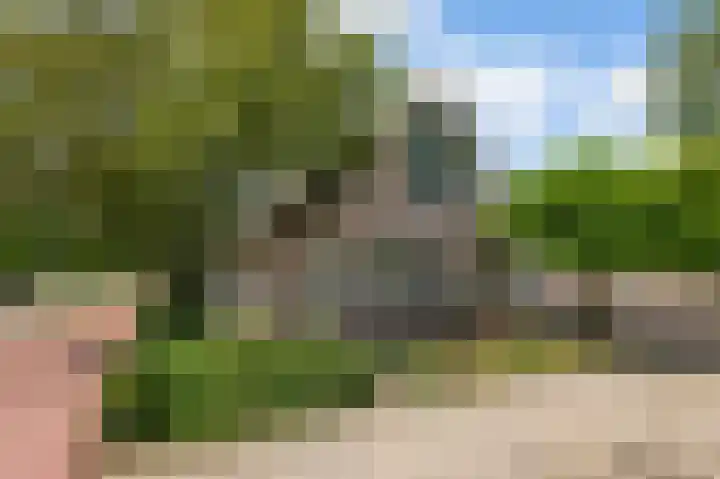 Zuideinde 114 Landsmeer thumbnail 40