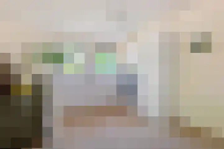 Zuideinde 114 Landsmeer thumbnail 9