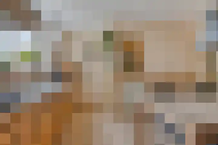 Zuideinde 115 Roelofarendsveen thumbnail 12