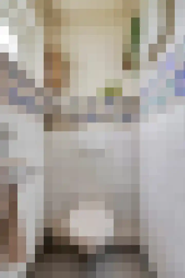 Zuideinde 115 Roelofarendsveen thumbnail 13