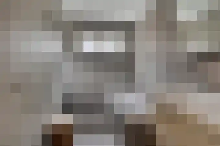 Zuideinde 115 Roelofarendsveen thumbnail 14
