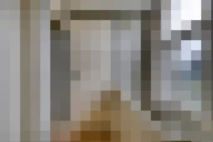 Zuideinde 115 Roelofarendsveen thumbnail 16