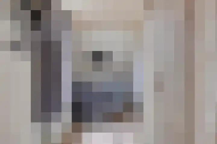 Zuideinde 115 Roelofarendsveen thumbnail 19