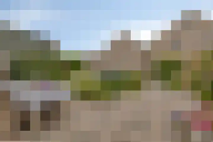 Zuideinde 115 Roelofarendsveen thumbnail 27