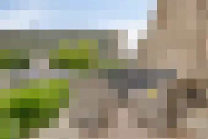 Zuideinde 115 Roelofarendsveen thumbnail 28
