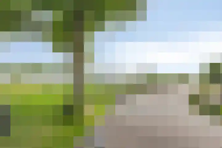 Zuideinde 115 Roelofarendsveen thumbnail 29