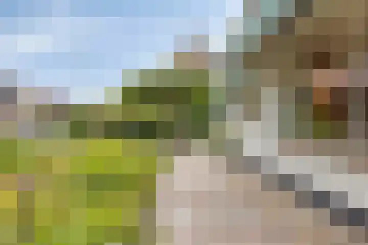 Zuideinde 115 Roelofarendsveen thumbnail 4