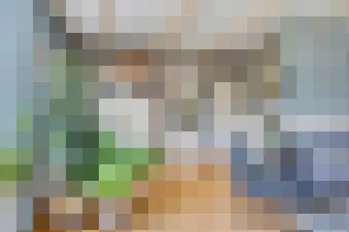 Zuideinde 115 Roelofarendsveen thumbnail 8