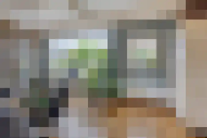 Zuideinde 115 Roelofarendsveen thumbnail 9