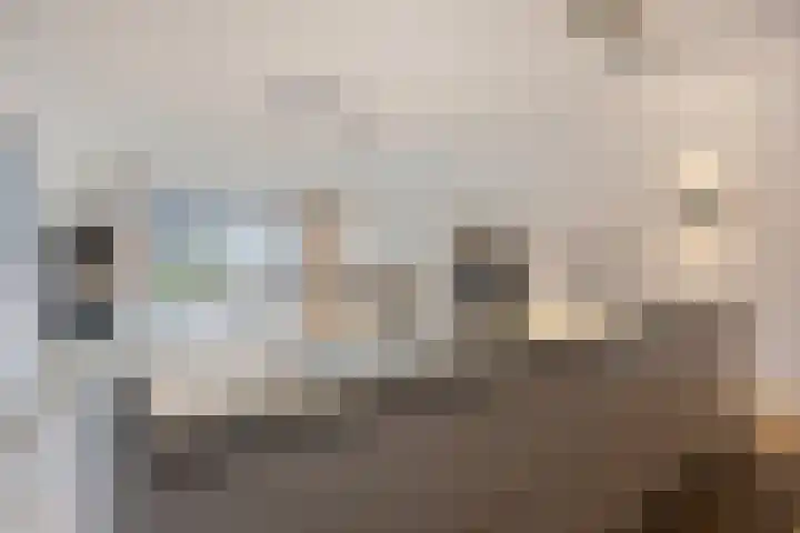 Zuideinde 116 A Oostzaan thumbnail 12