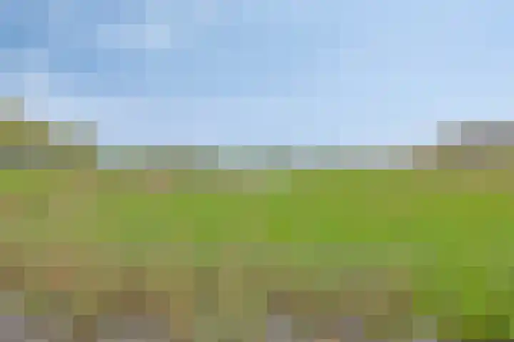 Zuideinde 116 A Oostzaan thumbnail 15