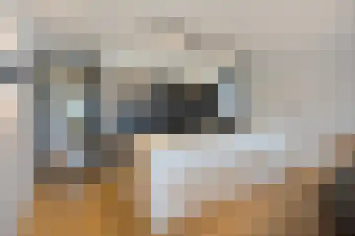 Zuideinde 116 A Oostzaan thumbnail 34