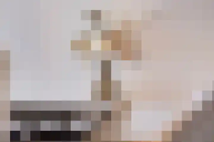 Zuideinde 116 A Oostzaan thumbnail 39