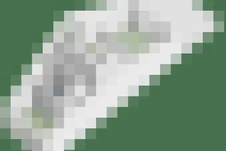 Zuideinde 116 A Oostzaan thumbnail 53
