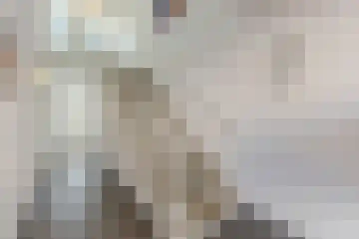 Zuideinde 12 E Landsmeer thumbnail 5