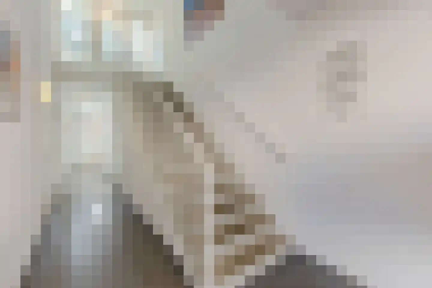 Zuideinde 12 E Landsmeer thumbnail 5
