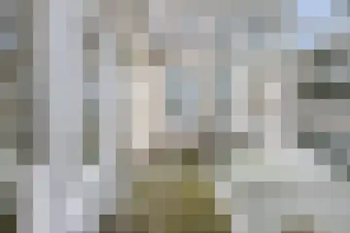 Zuideinde 12 E Landsmeer thumbnail 6
