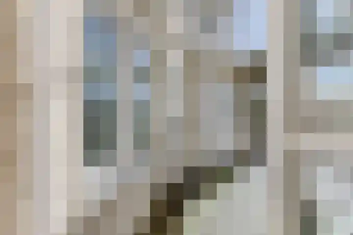 Zuideinde 12 E Landsmeer thumbnail 7
