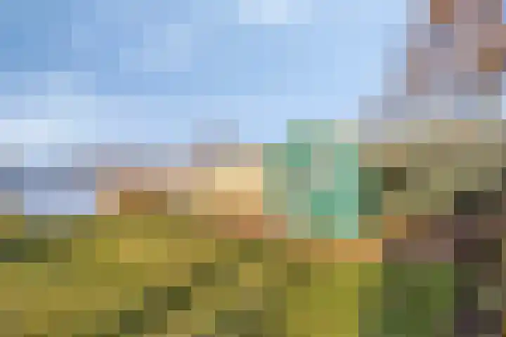 Zuideinde 124 a Roelofarendsveen thumbnail 14