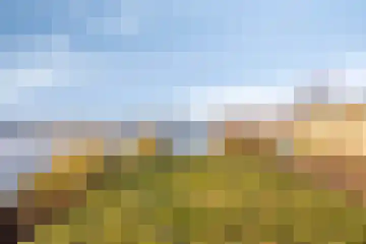 Zuideinde 124 a Roelofarendsveen thumbnail 15