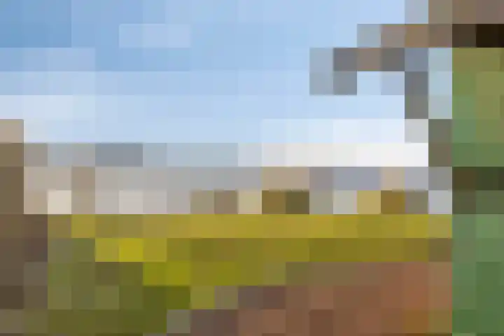 Zuideinde 124 a Roelofarendsveen thumbnail 16